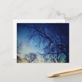 Cartão Postal Tree Photography