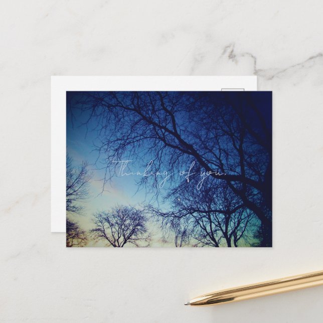 Cartão Postal Tree Photography (Frente/Verso In Situ)