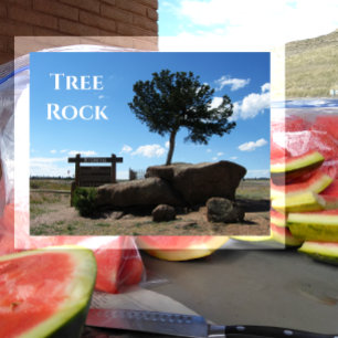 Cartão Postal Tree Rock Landmark, Buford, Wyoming