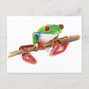 Cartão Postal Treefrog árvore sapo desenho animado