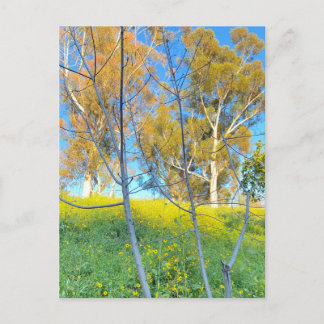 Cartão Postal Trees