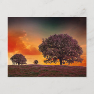 Cartão Postal Trees colorful sky beautiful nature scenery
