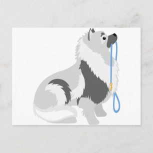 Cartão Postal Trela de Keeshond