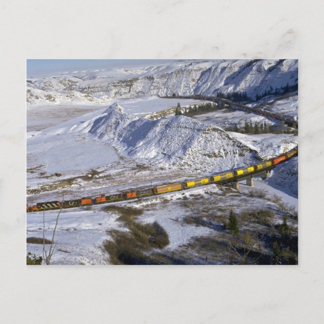 Cartão Postal Trem de grãos, Alberta, Canadá Inverno (Frente)