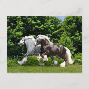 Cartão postal "Tremayne & Caspian"