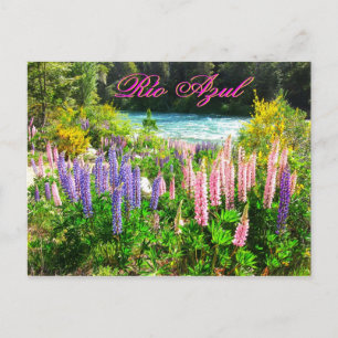 Cartão Postal Tremoço ao longo do Rio Azul, Argentina