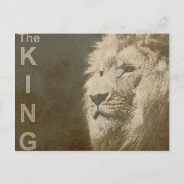 Cartão Postal Trendy Lion Head The King Modern Pop Art Modelo (Frente)