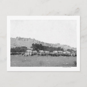 Cartão Postal Trens de Bois entre Sturgis e Deadwood Fotografia