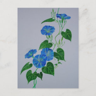 Cartão Postal Trepadeira de Flor Silvestre Gloria da Manhã Estil