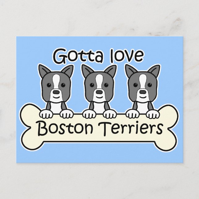 Cartão Postal Três Boston Terriers (Frente)