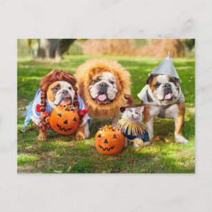 Cartão Postal Três Bulldogs Vestidos