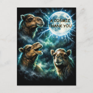 Cartão Postal Três Camelos Lua Um Obrigado Cósmico