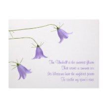 Três campainhas foto com um poema