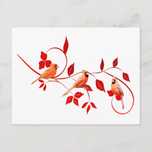 Cartão Postal Três Cardeais