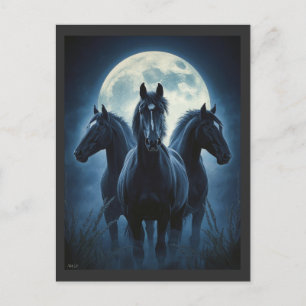 Cartão Postal Três Cavalos Lua