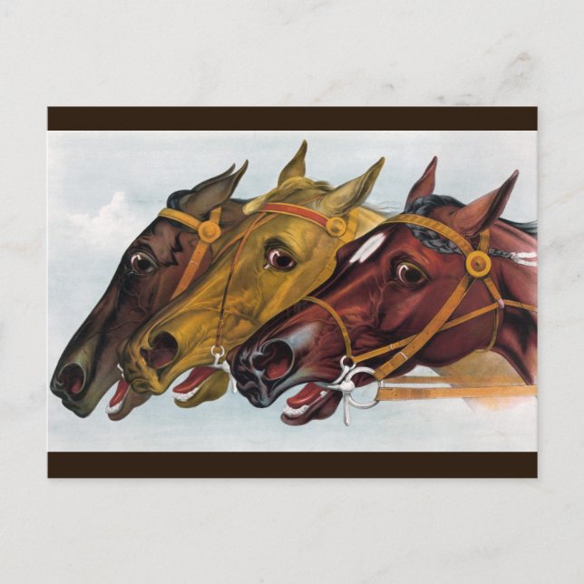 Cartão Postal três cavalos postais (Frente)