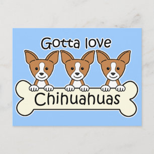 Cartão Postal Três Chihuahuas