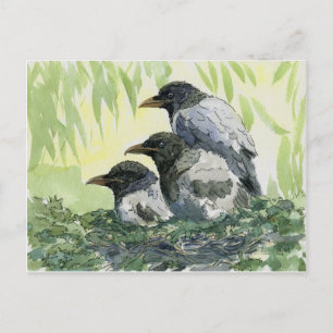 Cartão Postal Três corvos de schukina