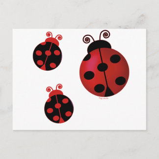 Cartão Postal Três Damybugs