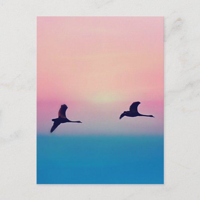 Cartão Postal Três Gansos Em Voo (Frente)