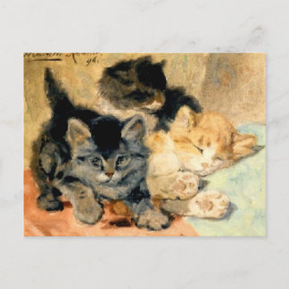 Cartão Postal Três gatinhos bonitos - Ronner