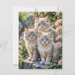 Cartão Postal Três gatinhos fofos em flores cor-de-rosa