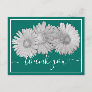 Cartão Postal Três Gerbera Daisies Foto de Fundo Verde