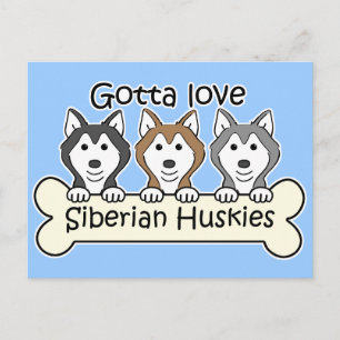 Cartão Postal Três Huskies siberianos