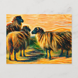 Cartão Postal Três ovelhas