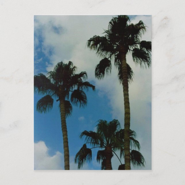 Cartão Postal Três Palmas (Frente)