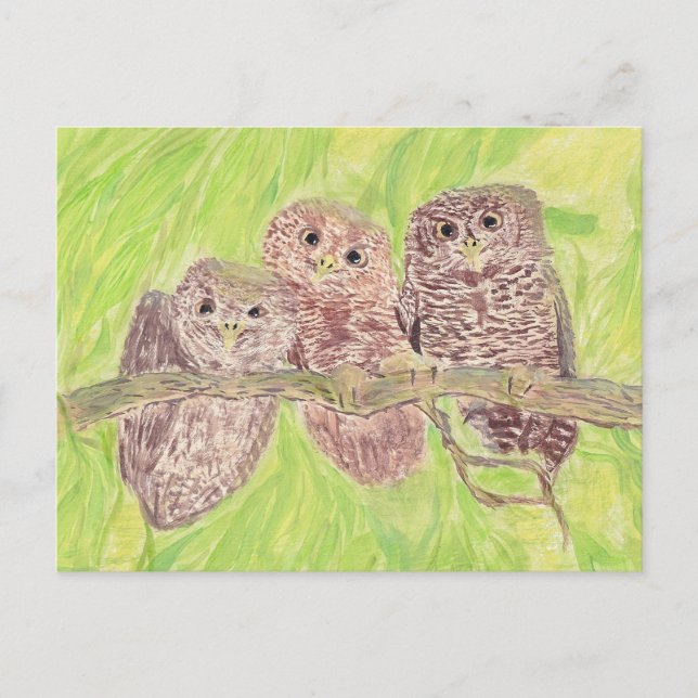 Cartão Postal Três Pequenas Corujas De Vassoura - pintura acríli (Frente)