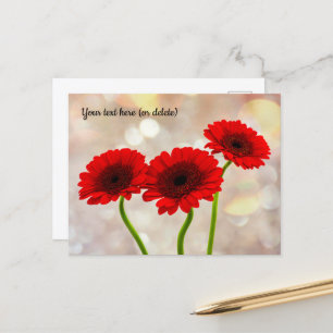 Cartão postal Três Pequenas Gerberas Vermelhas