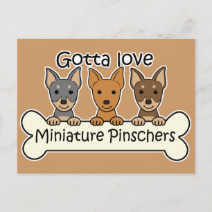 Cartão Postal Três Pinschers Miniatura