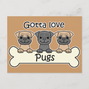 Cartão Postal Três Pugs