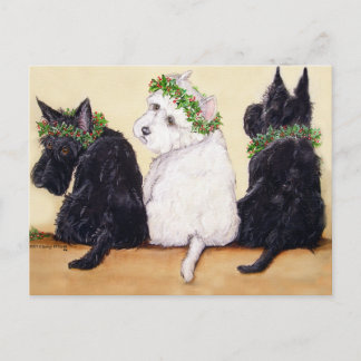 Cartão Postal Três Terriers Sábios