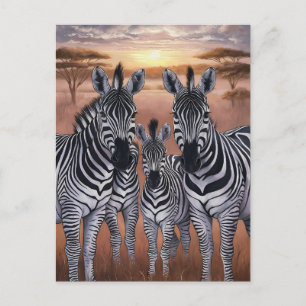 Cartão Postal Três Zebras Pastando no Prado