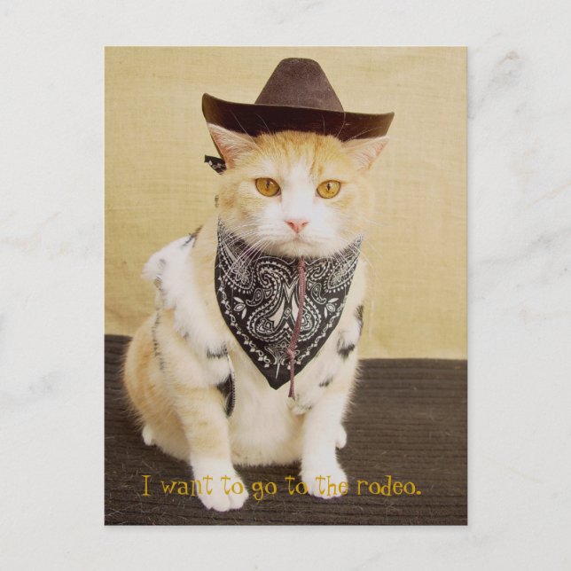 Cartão Postal Triail Rider Bubba (Frente)