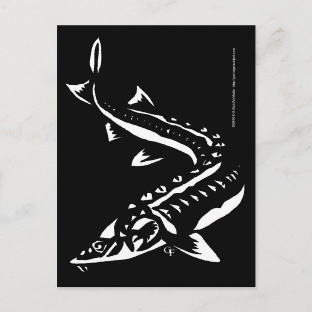 Cartão Postal Tribal1 (Frente)