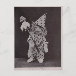 Cartão Postal Tribunal de Justiça de Tabbyland