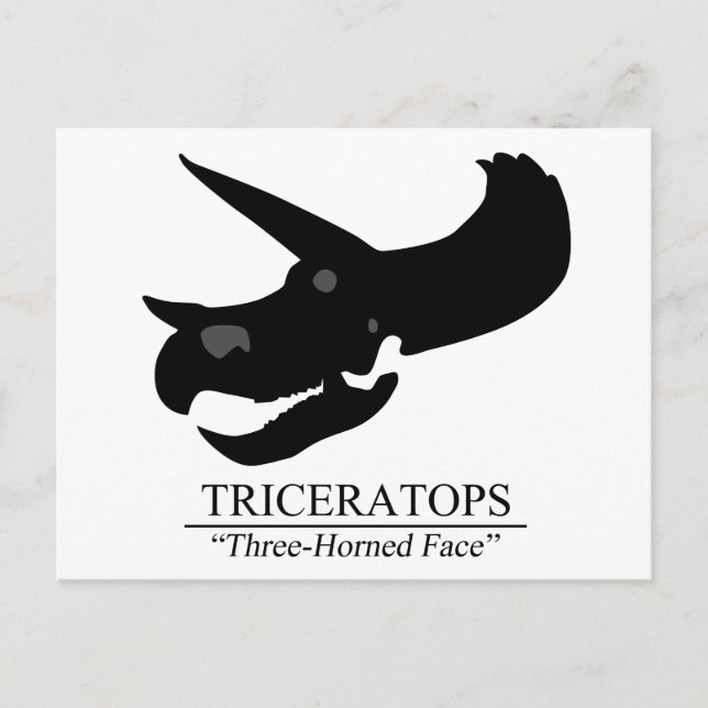 Cartão Postal Triceratops Skull (Frente)
