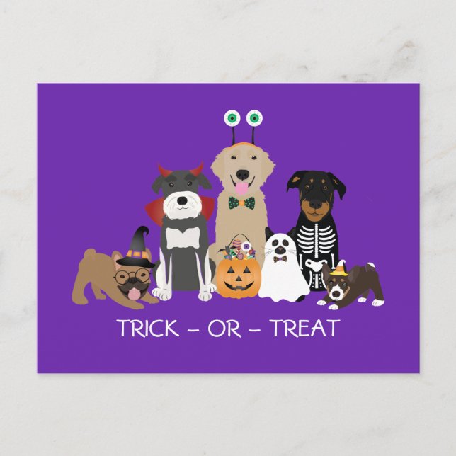 Cartão Postal Trick Ou Tratar Pets Figurinos De Halloween (Frente)