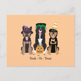 Cartão Postal Trick Ou Tratem Cães Em Fatos De Halloween