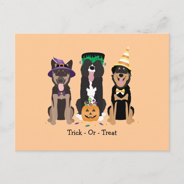 Cartão Postal Trick Ou Tratem Cães Em Fatos De Halloween (Frente)