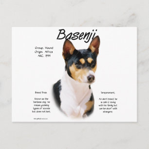 Cartão Postal Tricolor Basenji History, Tudo sobre Basenjis
