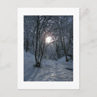 Cartão Postal Trilha da Floresta de Neve