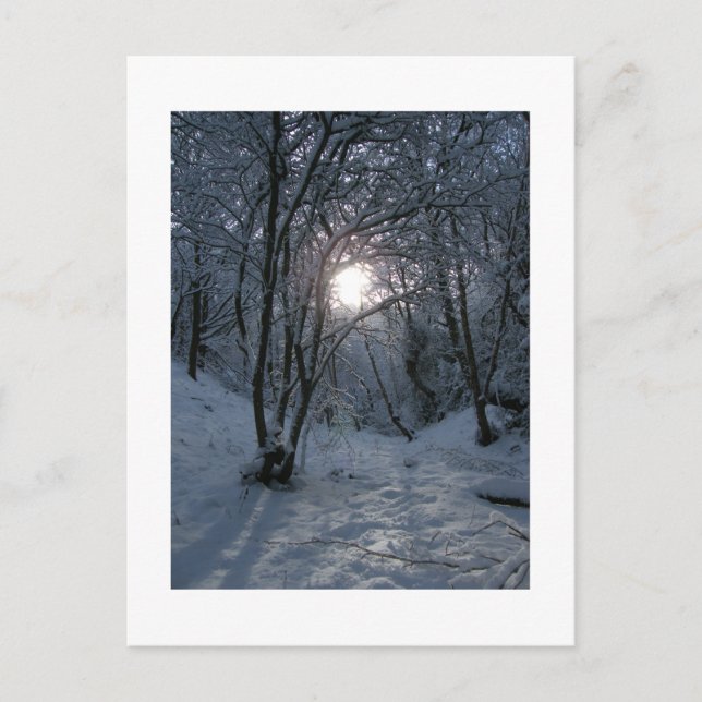 Cartão Postal Trilha da Floresta de Neve (Frente)