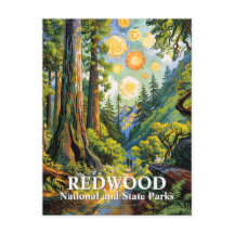 Trilha de caminhada no Parque Nacional Redwood Van