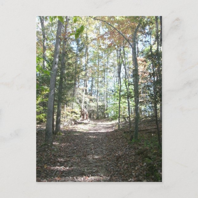 Cartão Postal Trilha de Caminho Appalachian (Frente)