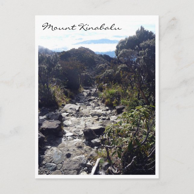 Cartão Postal trilha de cinabalu (Frente)