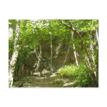 Trilha de Descoberta Frazier em Fotografia Shenand